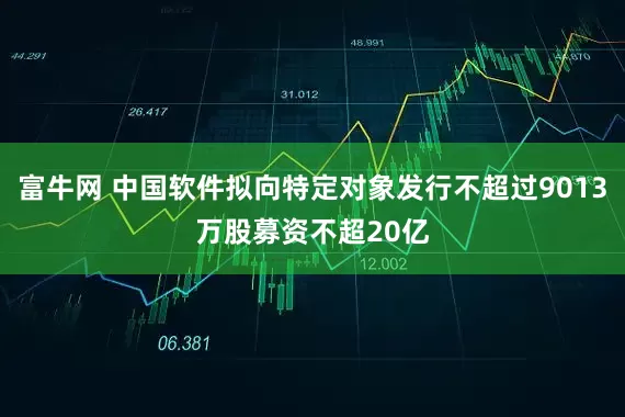 富牛网 中国软件拟向特定对象发行不超过9013万股募资不超20亿